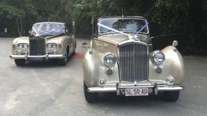 Bentley Classic Car 1950s - Wedding Car Brisbane